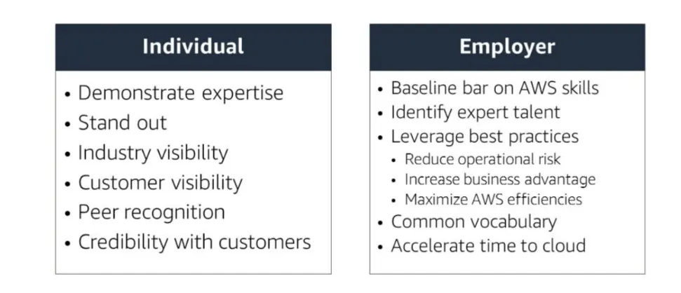 Benefits of AWS DAS-C01 and AWS MLS-C01 Certifications
